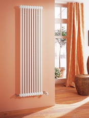 RR1ANBH_RRN20_00204_Radiator.jpg130278